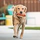 P.L.A.Y. Pet American Classic Pluche - Hot Dog