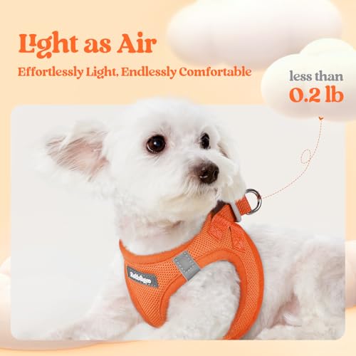 Image of rabbitgoo Dog Harness Medium Sized and Leash Set, Step-in Puppy Pet Vest