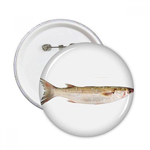 Pins badge poisson de mer pour raviver des vêtements ternes décoration ronde 5pcs