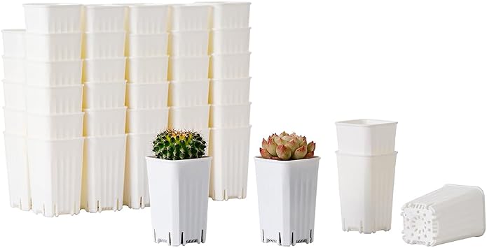60 Pack 1.95 Inch Tiny White Plastic Square Nursery and Seedling Pot, Mini Deep Transplant Seed Starter Planter with Drain Hole for Germination, Herb, Succulent