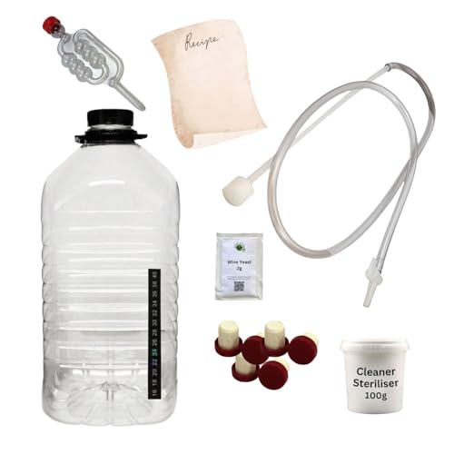 Almost Off Grid W5DJ1 Wine Starter Kit with Demijohn & Strawberry Wine Recipe, Equipment Bundle Ideal for Complete Beginners, Including Syphon, Yeast and Thermometer