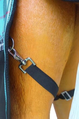 Image of CHALLENGER 1200D Foal Winter Blanket Miniature Pony Donkey Bellyband Turquoise Rustic