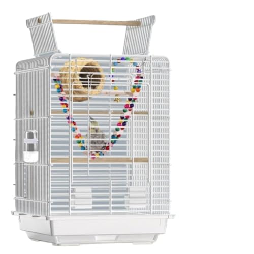 Emidor IEP[WAAƂ̓僔Br[ANXC[I[vgbv (zCg)