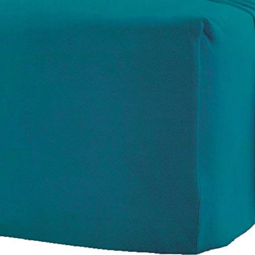 R&Z 100% Brushed Cotton Thermal Flannelette Fitted Sheet (Teal, Double)