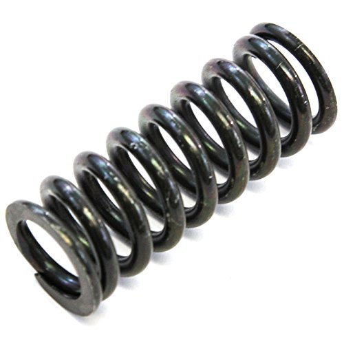 Red Hound Auto Door Hinge Pin Spring for Many Compatible with Chevrolet GMC Olds Replacement Repair Strong Replaces