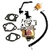 BOOSTI Carburettor with Petrol Filter for Einhell BT-PG 2800, BT-PG 2500, TC-PG 2500, KCST 2500, KCST 2501, KCST 2503 Power Generator