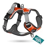 Embark Adventure Dog Harness, Easy On and Off with Front and Back Leash Attachments & Control Handle - No Pull Training, Size Adjustable and Non Choke (Extra Large - Orange)