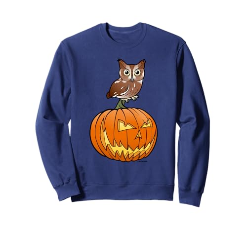 Halloween Owl & Jack-o-lantern | Cute Screech Owl & Pumpkin Sweatshirt