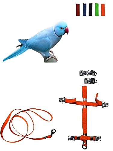 Arnés para periquitos elástico ajustable con collar negro y dos enganches de acero 6