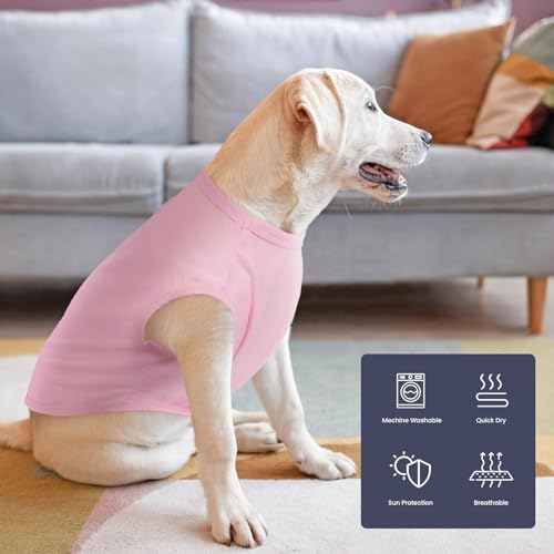 Hunde Shirt Sommer, Kühlwesten für Hunde, Hund UV Schutz T-Shirt, Hundekostüm, Hundehemd Tshirt, Haustier Tshirt für Kleine Mittelgroße Hund Katzen, Haustier Kleidung für Chihuahua, Yorkie (Blau,S)