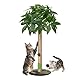 Meowoou Kratzsäule, 84 cm Kratzstamm, Ausgewachsene Katzen und Kätzchen, Hoher Kratzbaum mit Sisalseil, Niedlicher Katzenkratzbaum mit Spielball