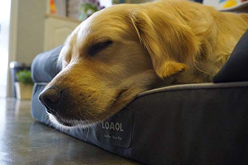 Loaol Large Dog Bed-Orthopedic Memory Foam, Waterproof Liner & Bolster Design For Medium/Large/Extra Large Dogs, Durable, Washable Cover & Breathable Construction For A Comfortable And Relaxing Sleep #TOP6
