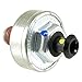 WVE 5S2178 Ignition Knock (Detonation) Sensor