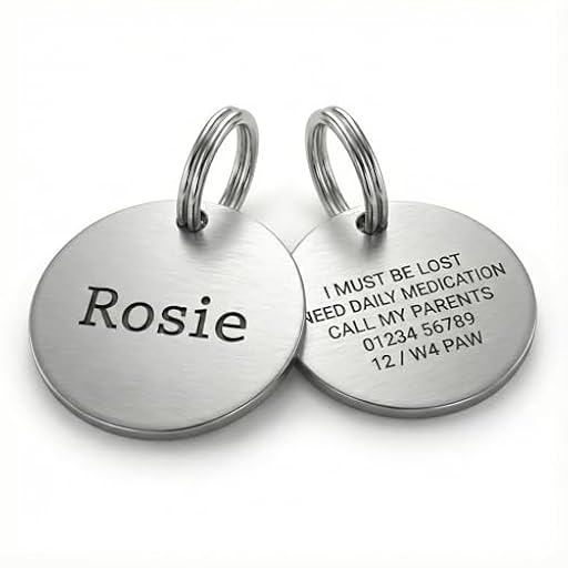 Placa de identificación personalizada para perro, de acero inoxidable plateado con grabado personalizado para perros y gatos, grabado profundo de doble cara, duradera y elegante (plata, grande: 30 mm) | Ya disponible en tu tienda friki favorita! En mundofriki.es!