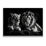 leone coppia tela arte della parete fauna selvatica animale immagini stampe moderno bianco murale poster pittura per soggiorno camera da letto ufficio decor 60x90cm con cornice nera