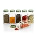 SpiceLuxe 6 Large Square Glass Spice Bottles 6 oz Jars with Simply Organic Style Metal Lids, Shaker Tops by
