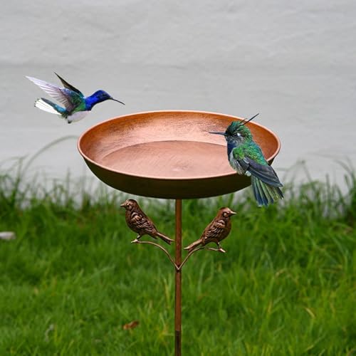 Bain d'oiseaux extérieur en métal vieilli style authentique