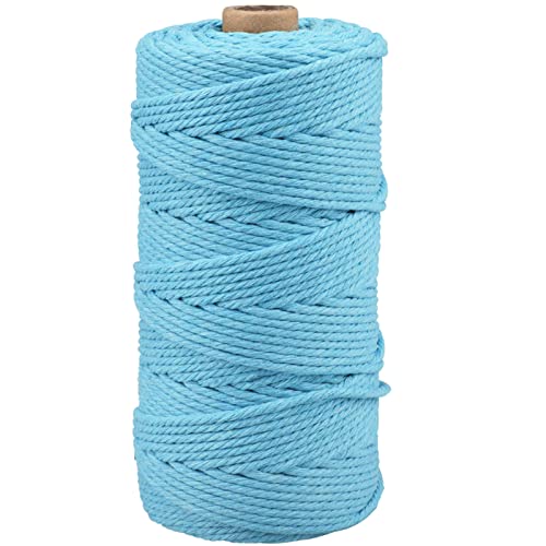 G2PLUS Corde Macramé Coton 3mm x 100M Fil Macramé Ficelle Corde pour Tricotage DIY Decoration Murale Porte Plante Décoration Bohème Emballage Cadeau-Lac Bleu