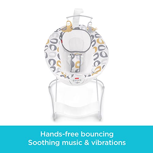 Fisher-Price-See-Soothe-Deluxe-Bouncer