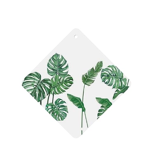 Green Plants tbV[t ԗpF p[\iCYꂽXCX J[A}Zs[^ubg ݂艺F܃J[h [vt 4 ԂƂ̑p