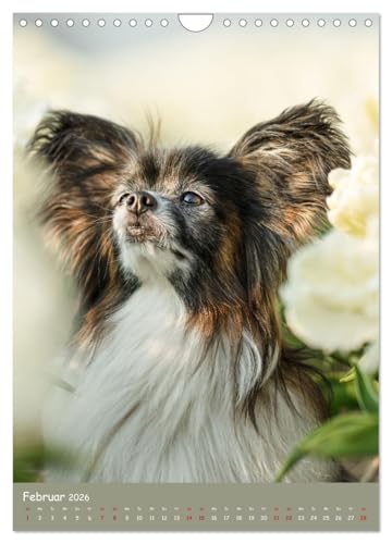 Flora Canidae - der Hunde-Blühpflanzen-Kalender (Wandkalender 2026 DIN A4 hoch), CALVENDO Monatskalender: Hunde und blühende Pflanzen streicheln die Seel, sie machen glücklich! (CALVENDO Tiere)