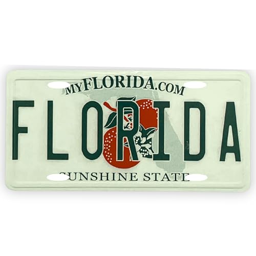 Imán decorativo de placa de Florida miniatura