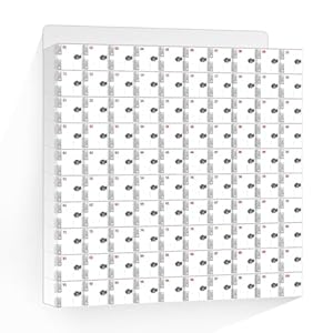 SdaryWare Handy-Aufbewahrungsschrank mit 100 Steckplätzen