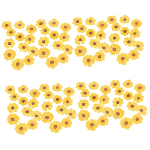 Flores de Margarita Presionadas para Manualidades 96 Piezas miniatura 1
