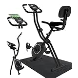 【MONOQLO年間ベストバイ受賞】STEADY フィットネスバイク エアロバイク 家庭用 静音 折り畳み Designed in Japan 独自開発の非接触式airホイール サイクリングマシン (06.ブラック/背もたれあり（マット付き）)