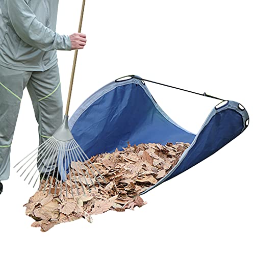 The 9 Best Leaf Collectors