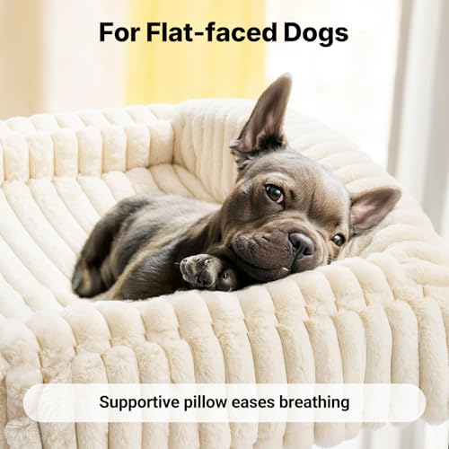 Veehoo Hundeliege Hundesofa für Kleine Hunde, Flauschige Erhöhtes Hundebett mit Abnehmbarem Polster und Orthopädische Matratze, Hunde Sofa Katzensofa mit rutschfeste Füße, Elfenbeinweiß 60x45x10cm