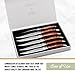 Trudeau Laguiole Steak Knives Set of 6 – Premium Stainless Steel Serrated Blades with Pakkawood Handles – Dishwasher Safe Steak Knife Set for Dinner, BBQ, or Gifting – Rustic Elegant Design