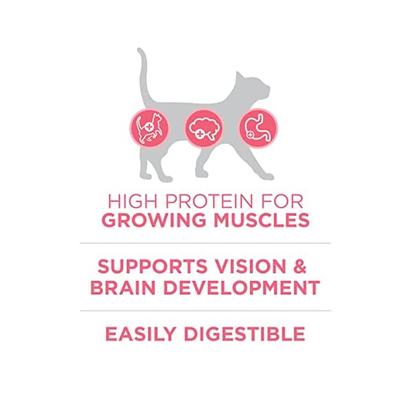 PURINA ONE Dry Cat Food, Healthy Kitten Formula, 16-Pound Bag by – Bild 5