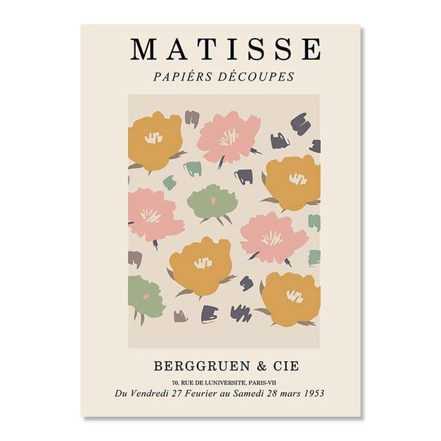 Henri Matisse Abstract Coral Flowe Nordic Posters and Prints Art Canvas Painting Wall Pictures for Living Room Decor G11 50x70cm No Frame