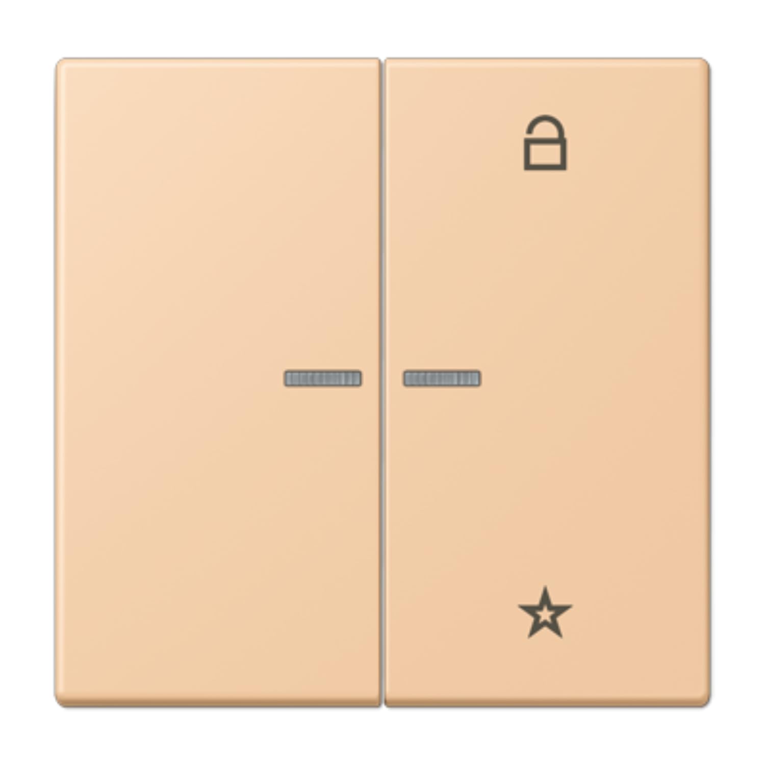 Tecna eNet universel 1 phase LC32122 JUNG FMLC1701237