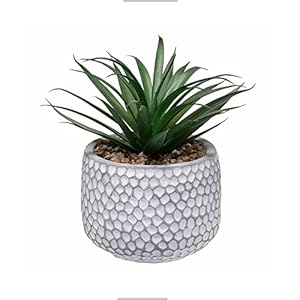 CADNLY Small Fake Plants in Pot - Artificial Succulents for Desk - Small Faux Plants Indoor Modern Farmhouse Artificial Decor - Fake Potted Succulents Decor for Bedroom Bathroom Office Shelf Table CADNLY Small Fake Plants in Pot Artificial Succulents for Desk Small Faux Plants Indoor Modern Farmhouse Artificial Decor Fake Potted Succulents Decor for Bedroom Bathroom Office Shelf Table