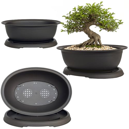 MUZHI 3 Pack Mixed Size Oval Bonsai Planter Pot with Drainage Tray, Matte Finish Ellipse Plastic...