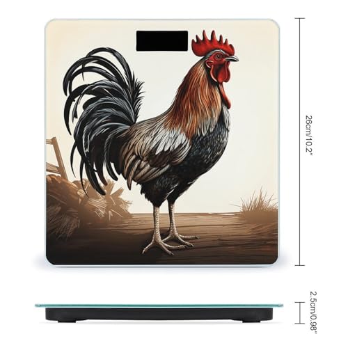 Báscula Digital de Baño Rooster Alta Precisión Compacta miniatura 2