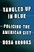 Tangled Up in Blue: Policing the American City
