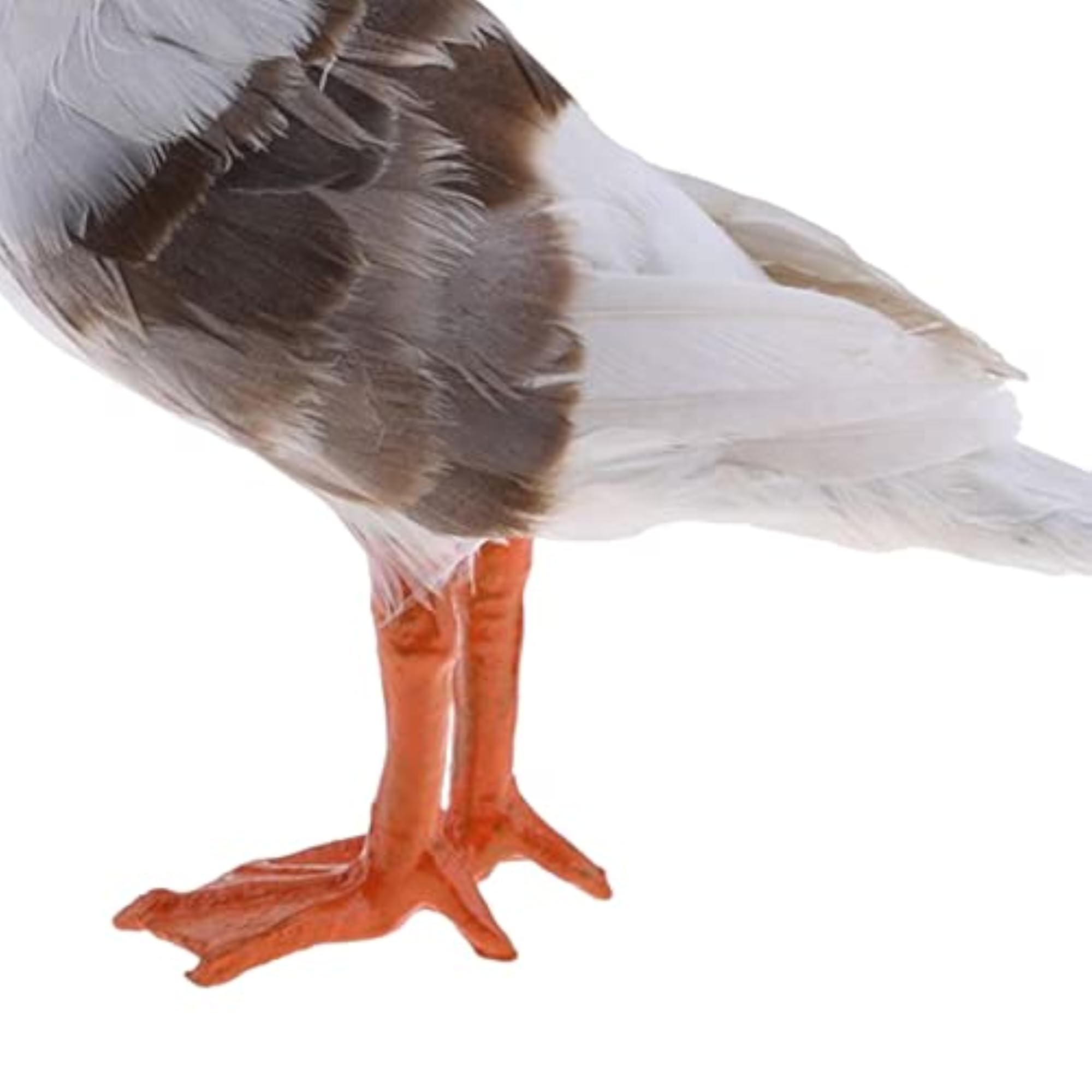 Realistic Seagull Bird Home Garden Decoration
