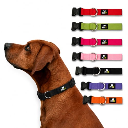 PettyItalia, Collare Cane Regolabile in Biothane, Impermeabile, con Anello D-Ring e Chiusura di Sicurezza, per Cani di Taglia Piccola, Media e Grande, Colore Nero, Taglia XS