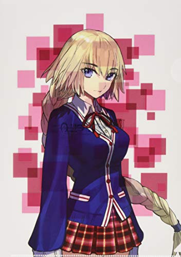 Duo clear file Jeanne d'Arc Fate EXTELLA Hobby Stock idée cadeau passionné