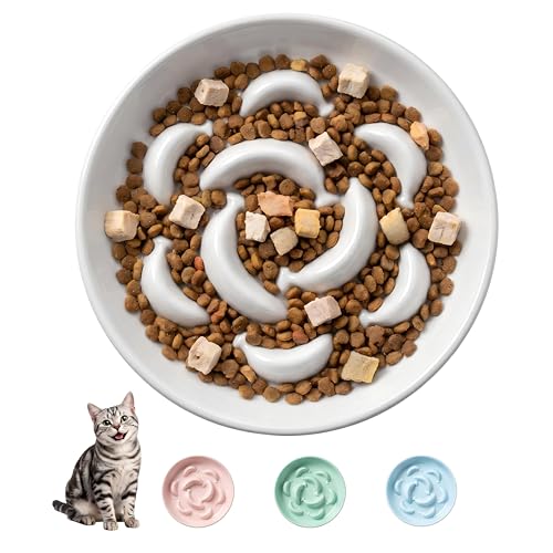 Ceramic Cat Slow Feeder Bowl - 6.3'' Wide Opening Whisker Friendly Cat Plate for Dry and Wet Food - Cute Maze Feeder Dish Helps Reduce Vomiting - Microwave and Dishwasher Safe - White