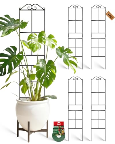 Image of 31.8'' Stackable Plant Trellis Indoor, Metal Trellis for Climbing Plants Indoor, House Plant Support with Soft Ties for Monstera Hoya Pothos, 4P