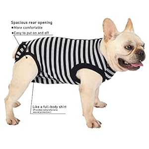 Dog-Surgical-Recovery-SuitSurgery-Female-Male-Dog-ShirtSpayNeuter-Recovery-ClothesZipper-Closure-Cotton-Striped-Wounds-Protect-SuitBlack-Striped-XS - Cucciolini Doodles   Dog-Surgical-Recovery-SuitSurgery-Female-Male-Dog-ShirtSpayNeuter-Recovery-ClothesZipper-Closure-Cotton-Striped-Wounds-Protect-SuitBlack-Striped-XS