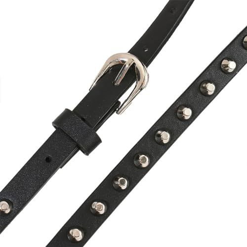 Generic Studded PU Leather Belt Long Punk Rivet Waistband Waist Belt for Women Girls Dress Jeans Pants Blouse Tshirt, 66.1 inch, 168CM, Black2