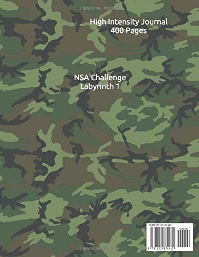NSA Challenge: Labyrinth 1      Paperback – December 27, 2019