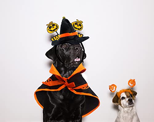 Disfraz de Halloween para gato con capa y gorro de bruja miniatura 3