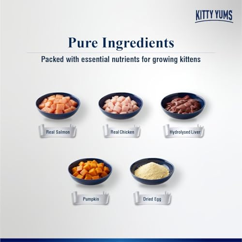 Image of Kitty Yums Kitten Wet Mousse 80g | Salmon | Rich in Protein | Promotes Hydration & Easy to Digest | Grain Free | No Artificial Flavours | Packed with Essential Vitamins & Antioxidants