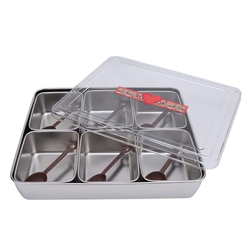 Divided Serving Tray, Divided Condiments Container Heat Cold Resistant with 6 Spoons for Home (Stainless Steel)